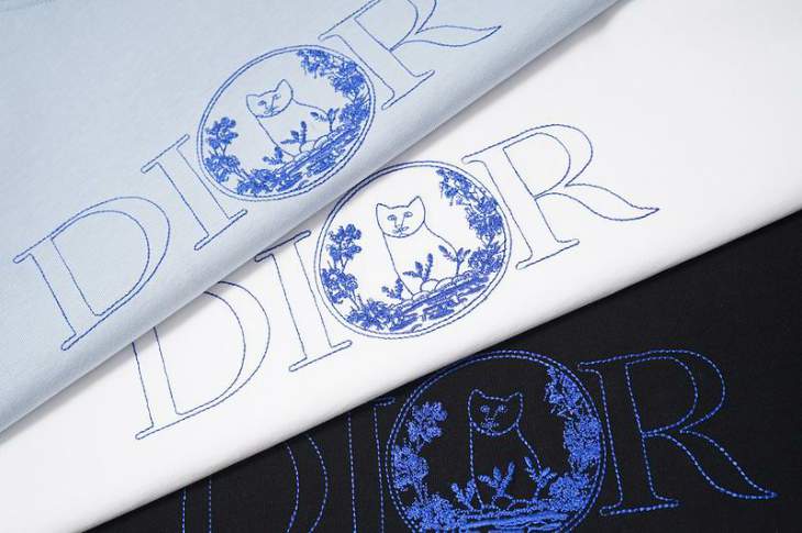 Dior T Shirts Short _SKUDiorS-3XLyktrT10115874